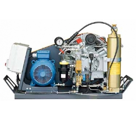 DE 200/250/300空气充气泵